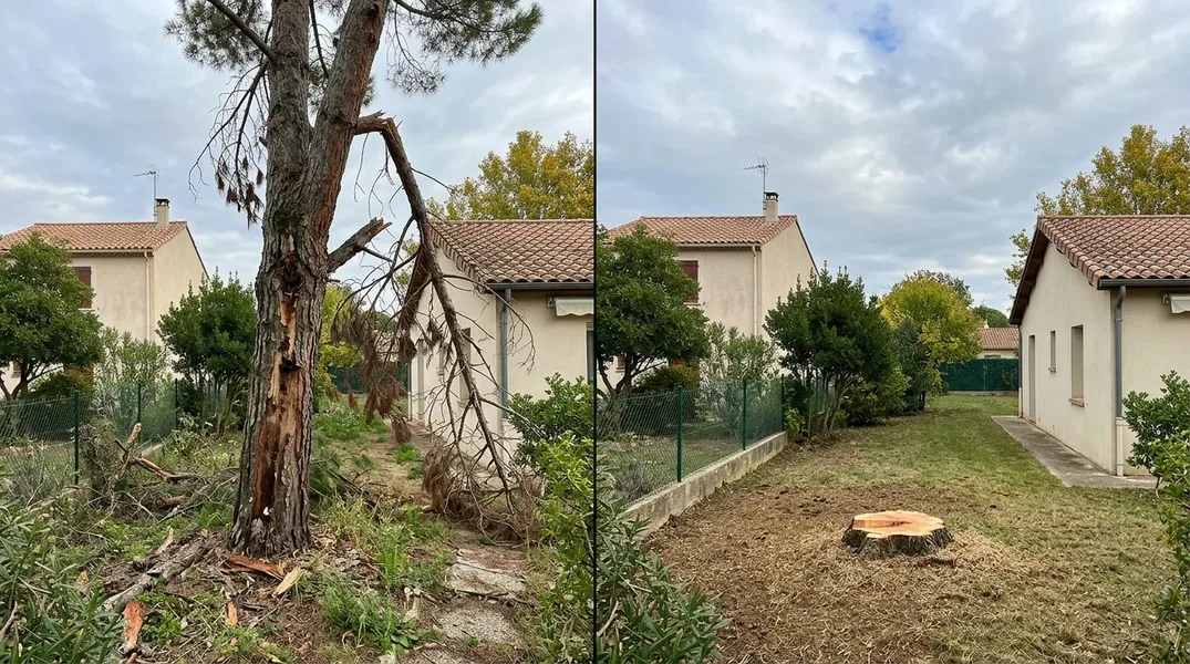 Résultat élagage dans le Gard — Elagage Gard