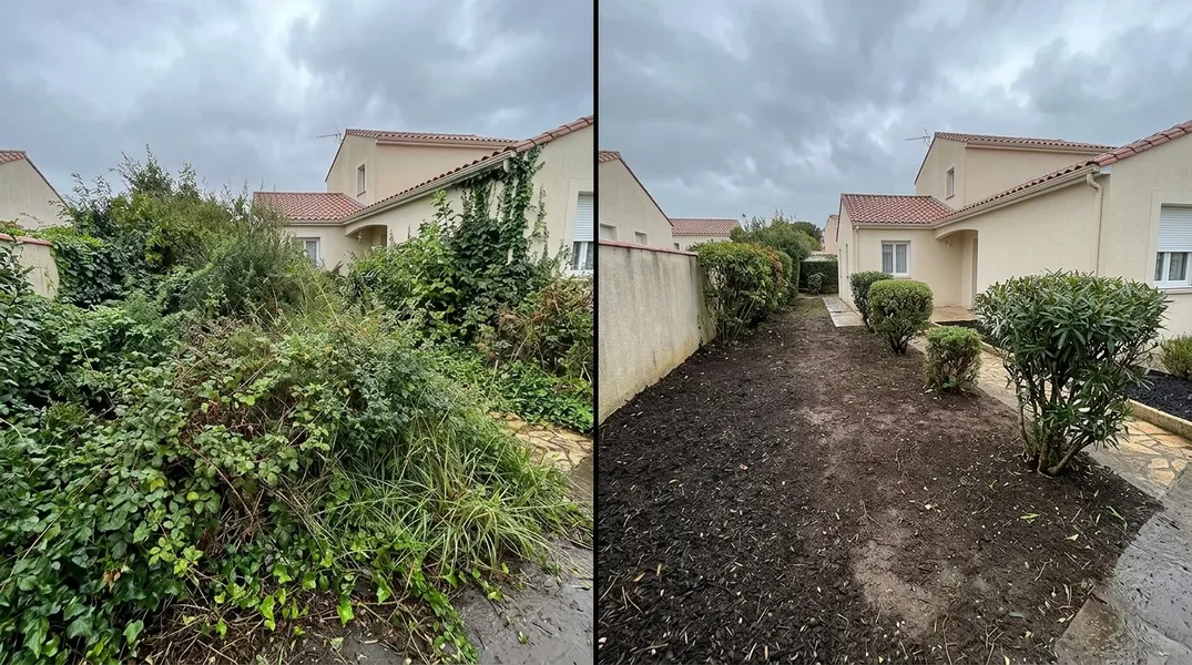 Résultat élagage dans le Gard — Elagage Gard